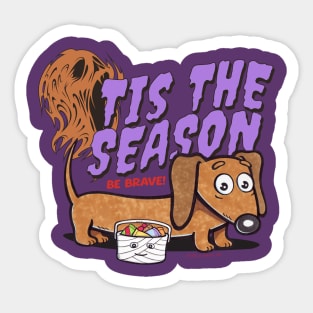 Funny and cute Doxie Dachshund Dog being brave for Tis the Season halloween while trick or treating Sticker